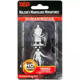 D&D Nolzur's Marvelous Miniatures: Human Rogue (мужчина) картинка 347346 - МосИгра